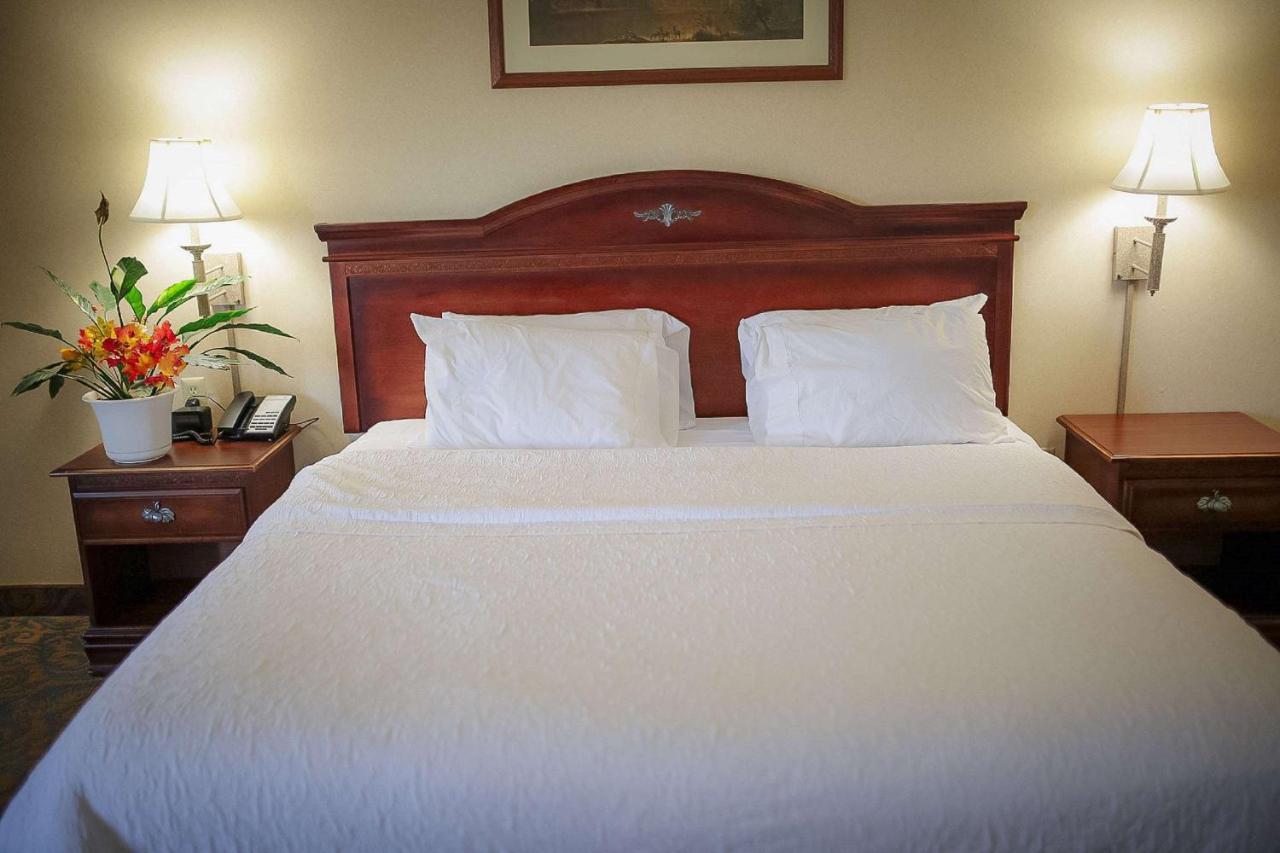 Surestay Plus Hotel By Best Western Cheyenne Kültér fotó